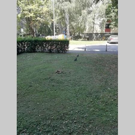 Šarmantni apartman Malecka Zagreb Exteriör bild