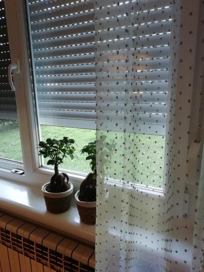 Šarmantni apartman Malecka Zagreb Exteriör bild