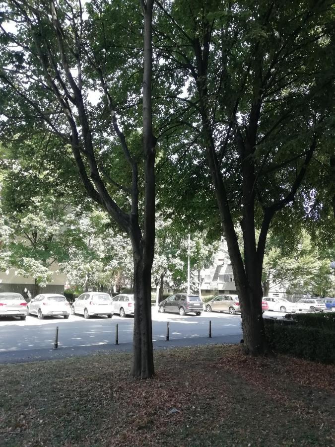 Šarmantni apartman Malecka Zagreb Exteriör bild